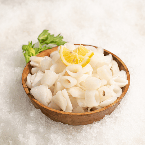 Loligo Squid Ring.jpg